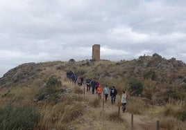 Ruta del Torreón de Cogollos.