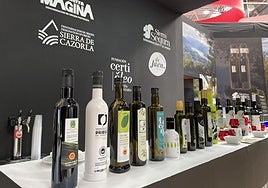 Selección de aceites de oliva jienenses en la edición de Expoliva 2023.