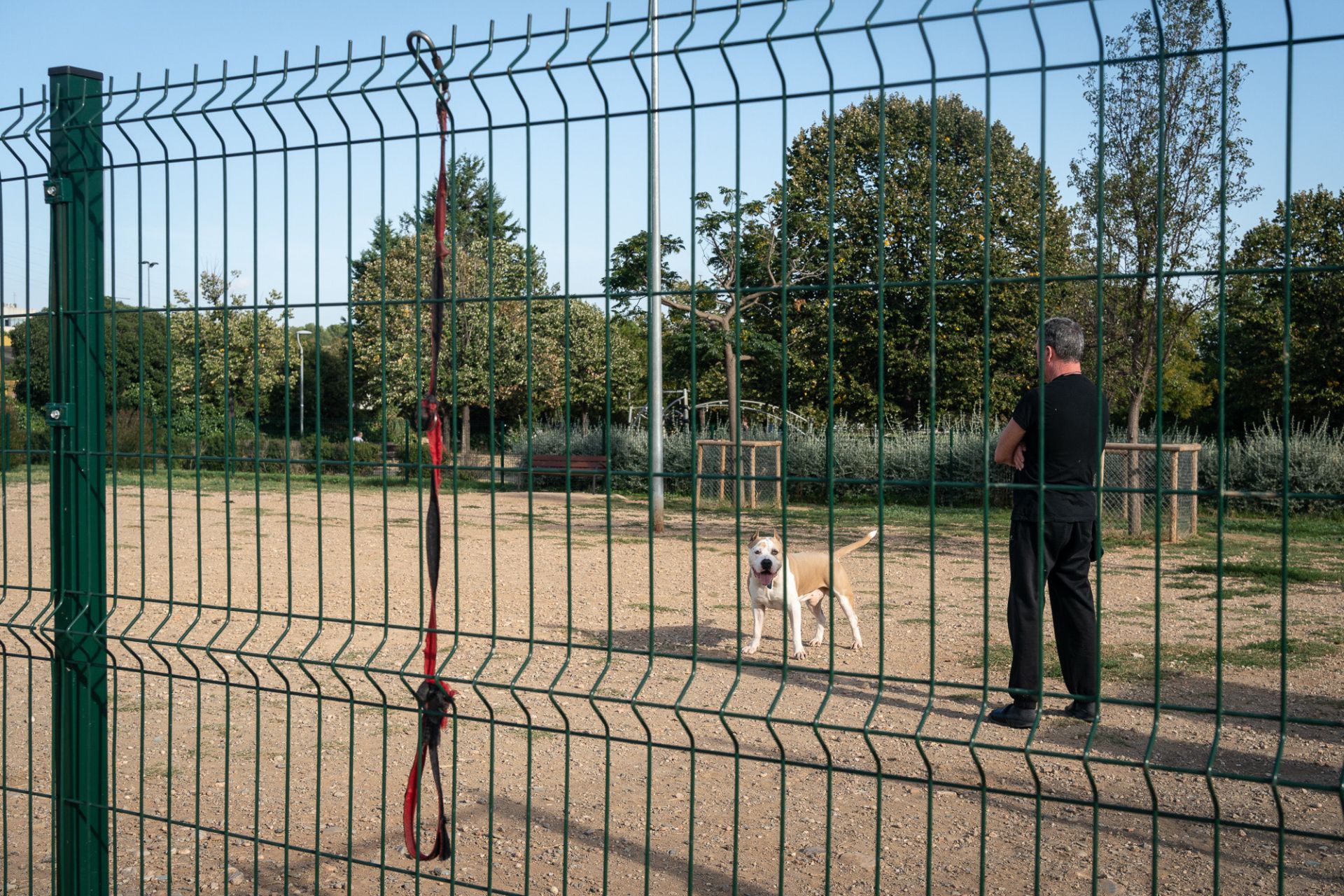 Parque canino Gualchos.