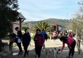 Inicio de la Vía Verde del Aceite en Jaén, que se remodelará, y al fondo, vagón abandonado.