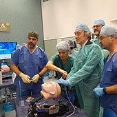 IAVANTE reúne en Granada a especialistas internacionales en Neurocirugía para impartir un curso pionero en España