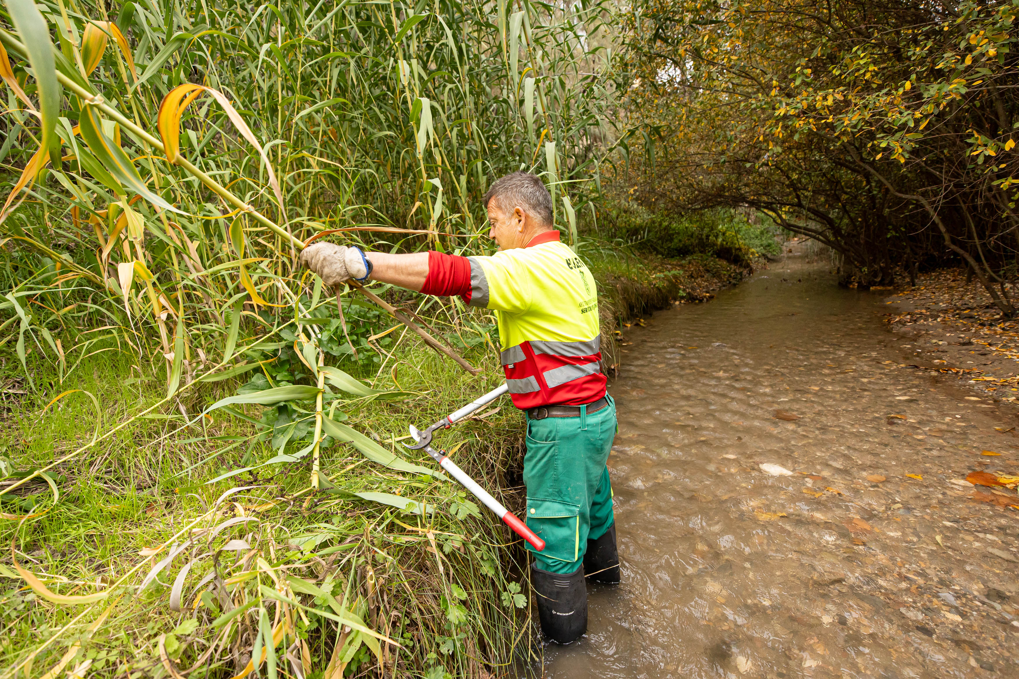 Dentro de la limpieza del río Darro en Granada