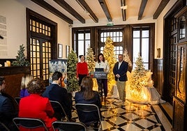Presentación del programa de Navidad de Almería.