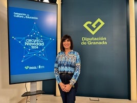 La programación de Diputación en Navidad para 45 municipios de Granada