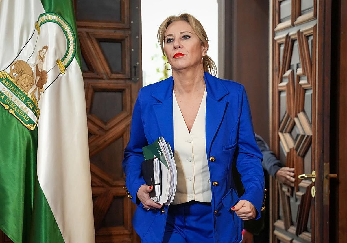 Carolina España, en su comparecencia tras el Consejo de Gobierno.