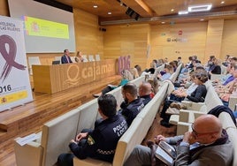 La Subdelegación clausura los actos del 25N con las jornadas 'Formas de violencia machista y sus diferentes enfoques'