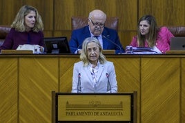 Rocío Hernández, durante su comparecencia.