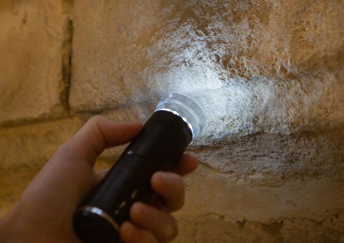 Imagen secundaria 1 - Descubriendo los fósiles en la torre de la Catedral. 