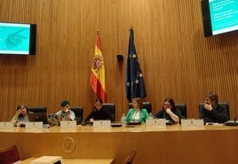 Luisa López, junto a otras compañeras en el Congreso.