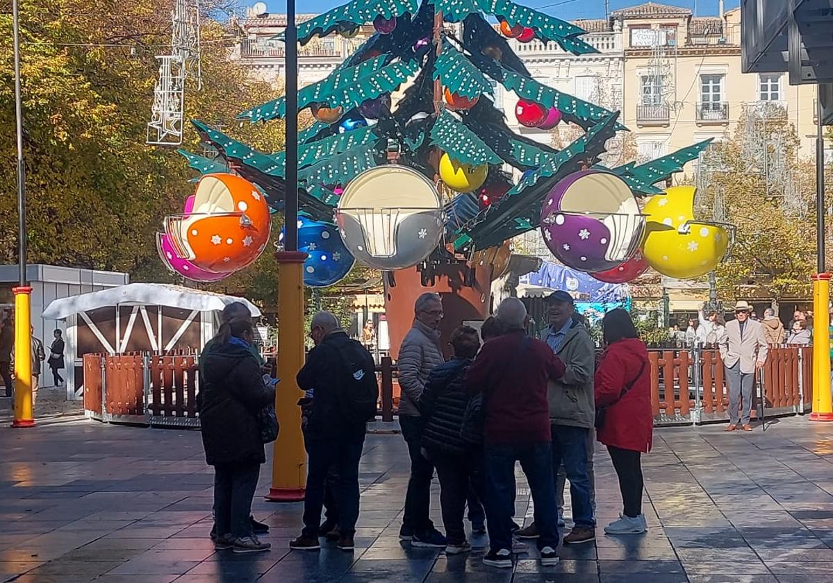 El árbol de grandes dimensiones que se ha convertido en la principal atracción en Bib-Rambla.