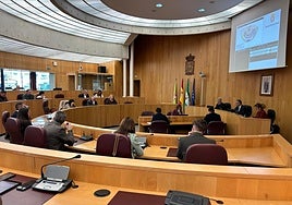 Pleno extraordinario para aumentar la partida para la reforma de los colegios.