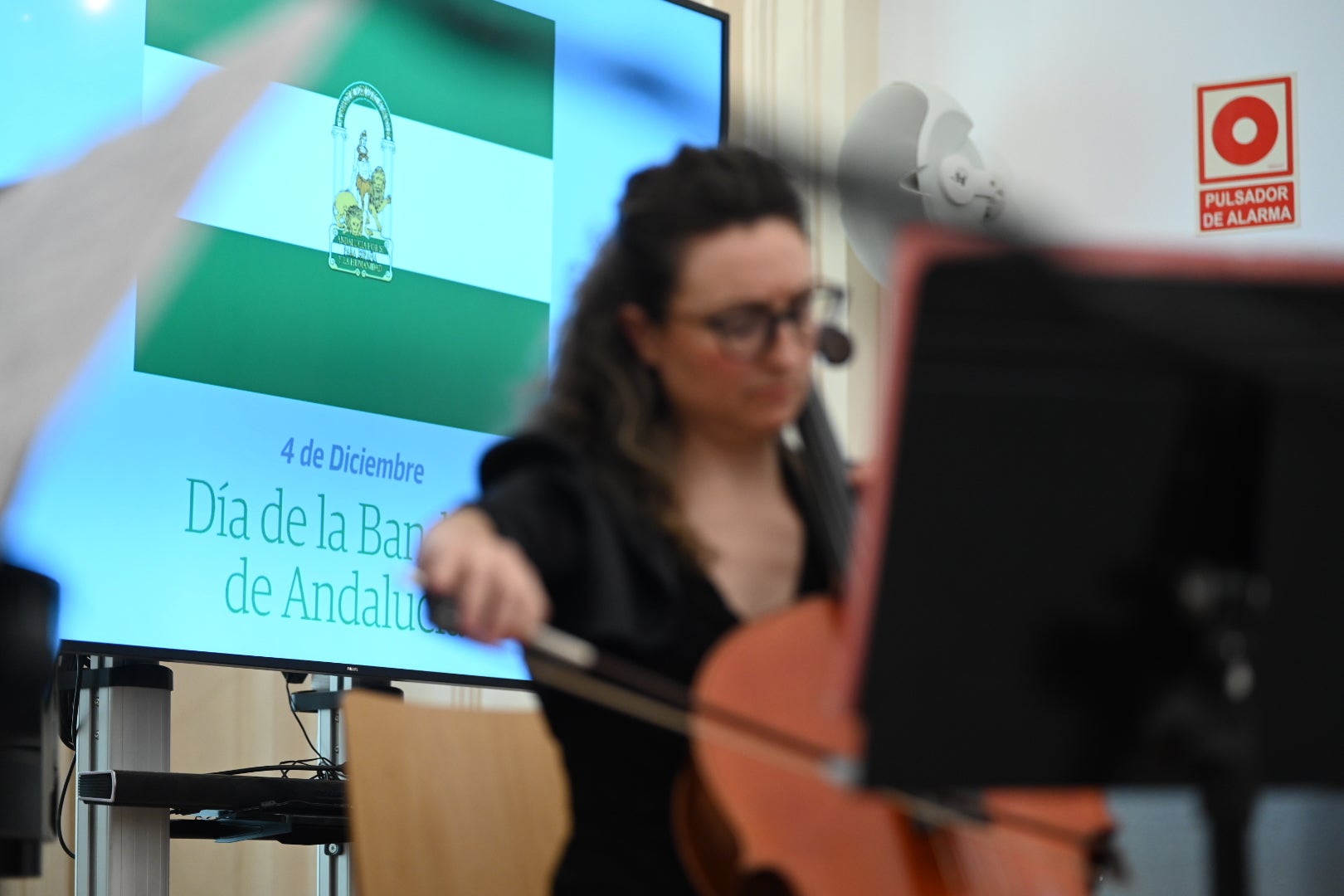 El Día de la Bandera de Andalucía en Granada, en imágenes