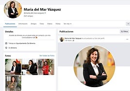 Imagen de la cuenta falsa de la alcaldesa de Almería.