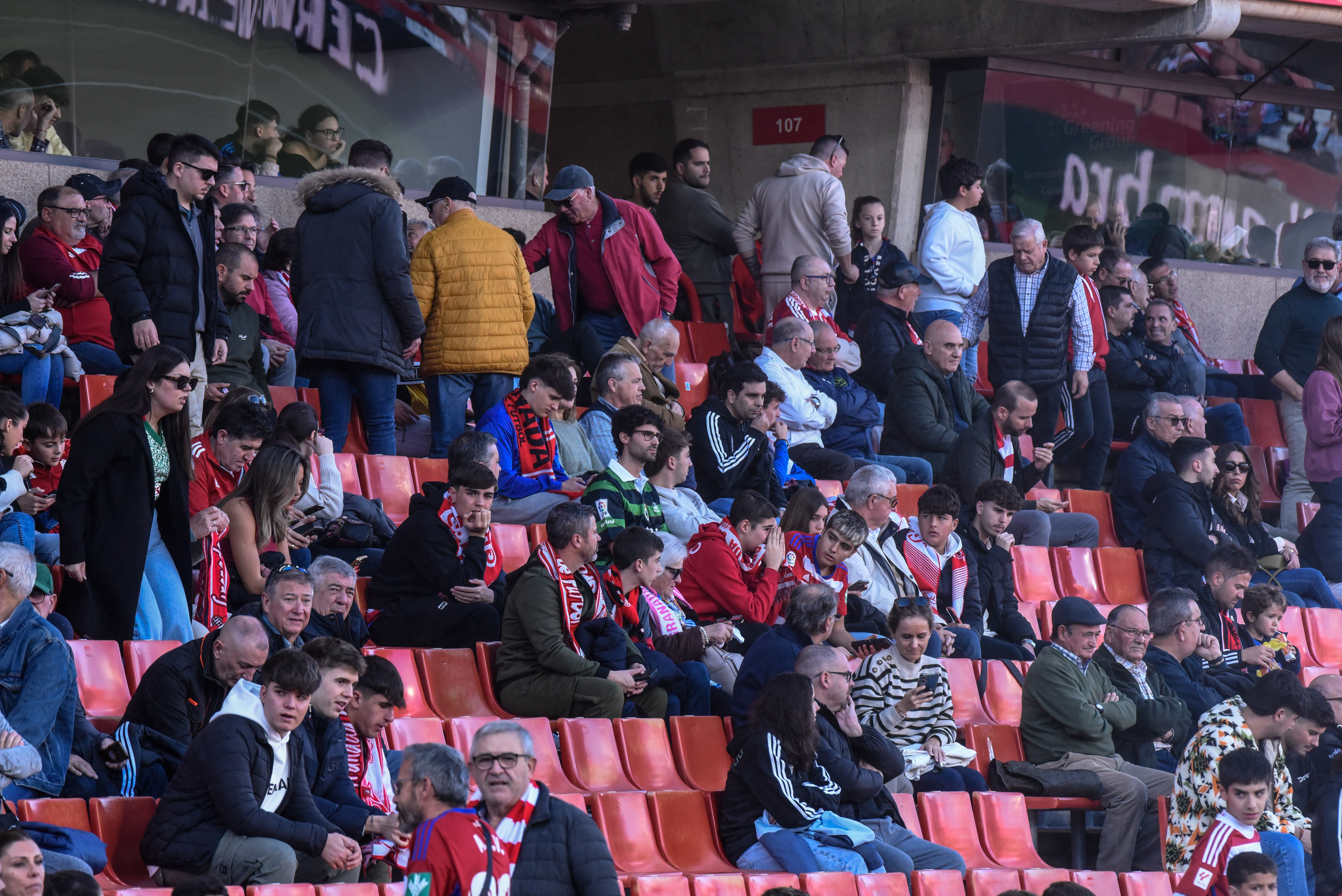 Búscate en la grada de Los Cármenes en el Granada-Racing