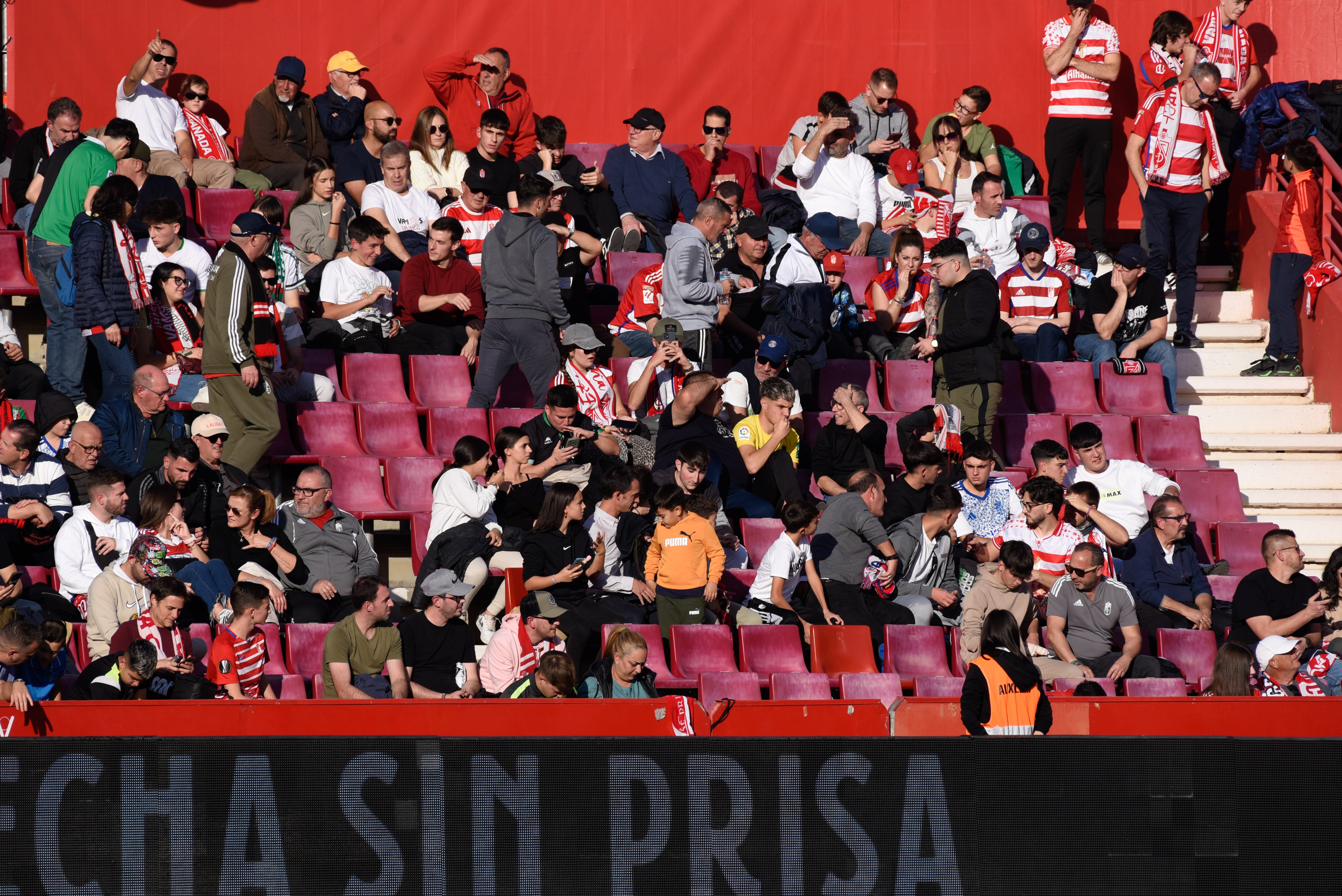 Búscate en la grada de Los Cármenes en el Granada-Racing