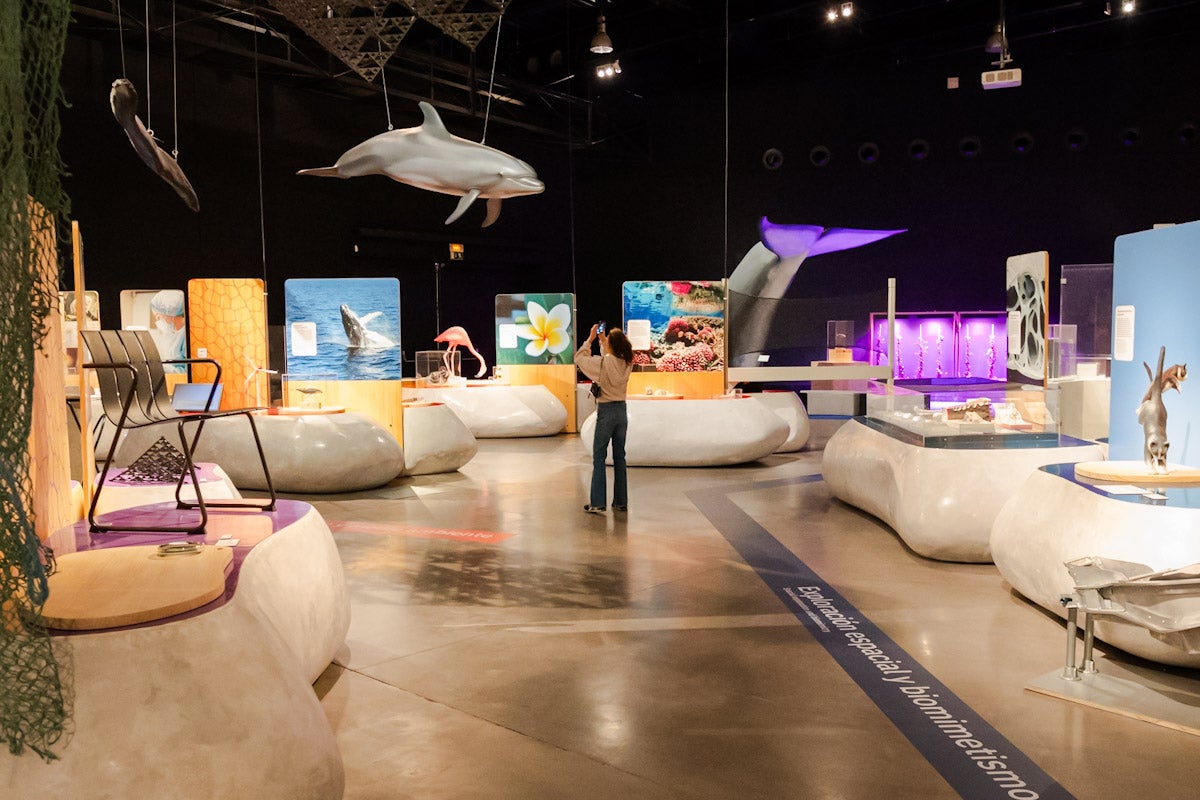 Las mejores imágenes de la exposición &#039;BioInspiración&#039; en el Parque de las Ciencias de Granada