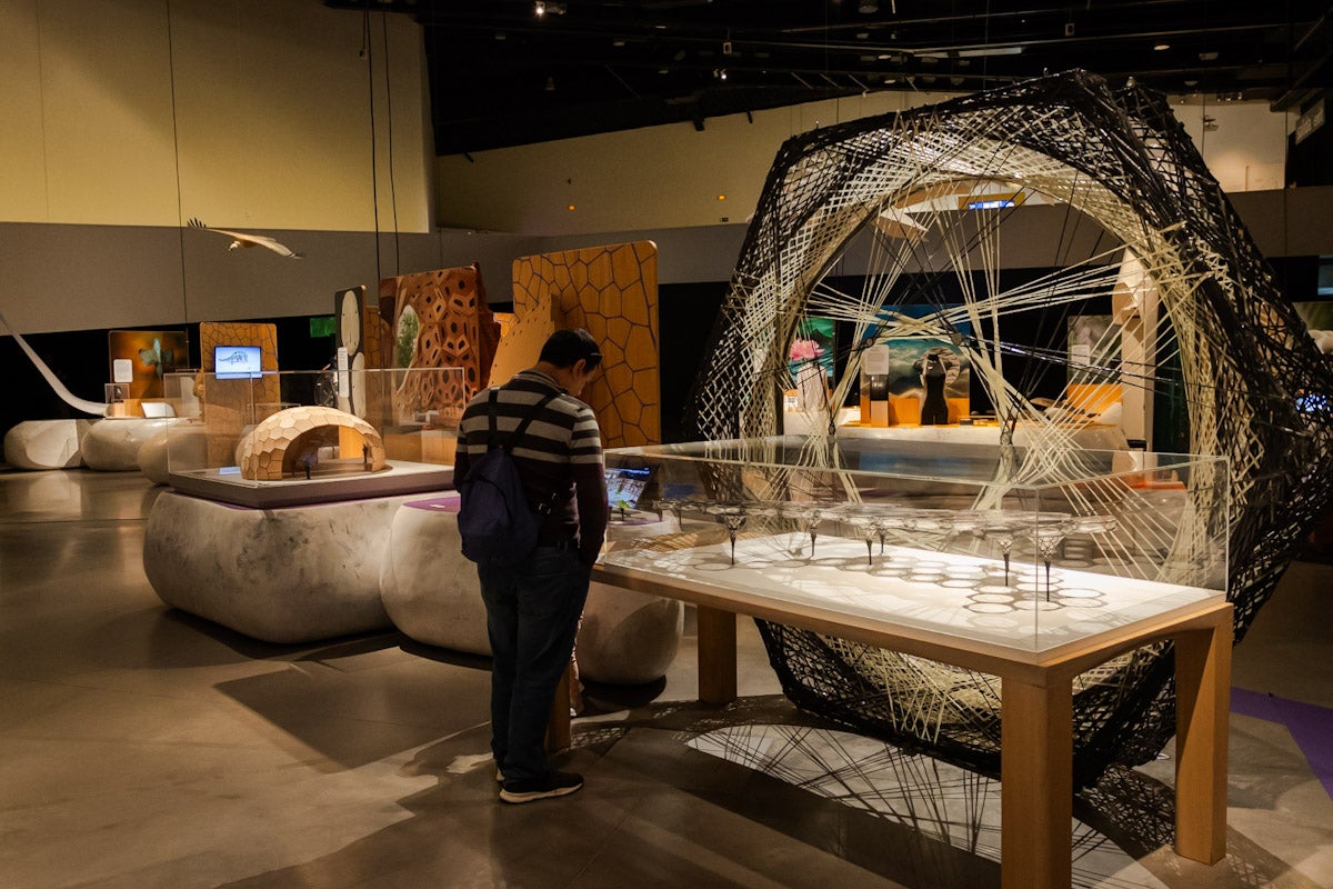 Las mejores imágenes de la exposición &#039;BioInspiración&#039; en el Parque de las Ciencias de Granada