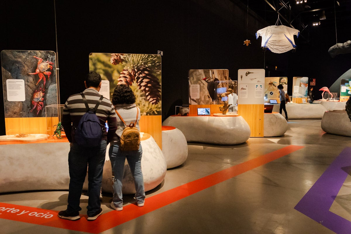 Las mejores imágenes de la exposición &#039;BioInspiración&#039; en el Parque de las Ciencias de Granada