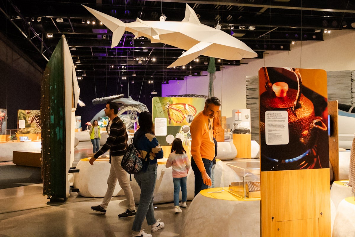 Las mejores imágenes de la exposición &#039;BioInspiración&#039; en el Parque de las Ciencias de Granada