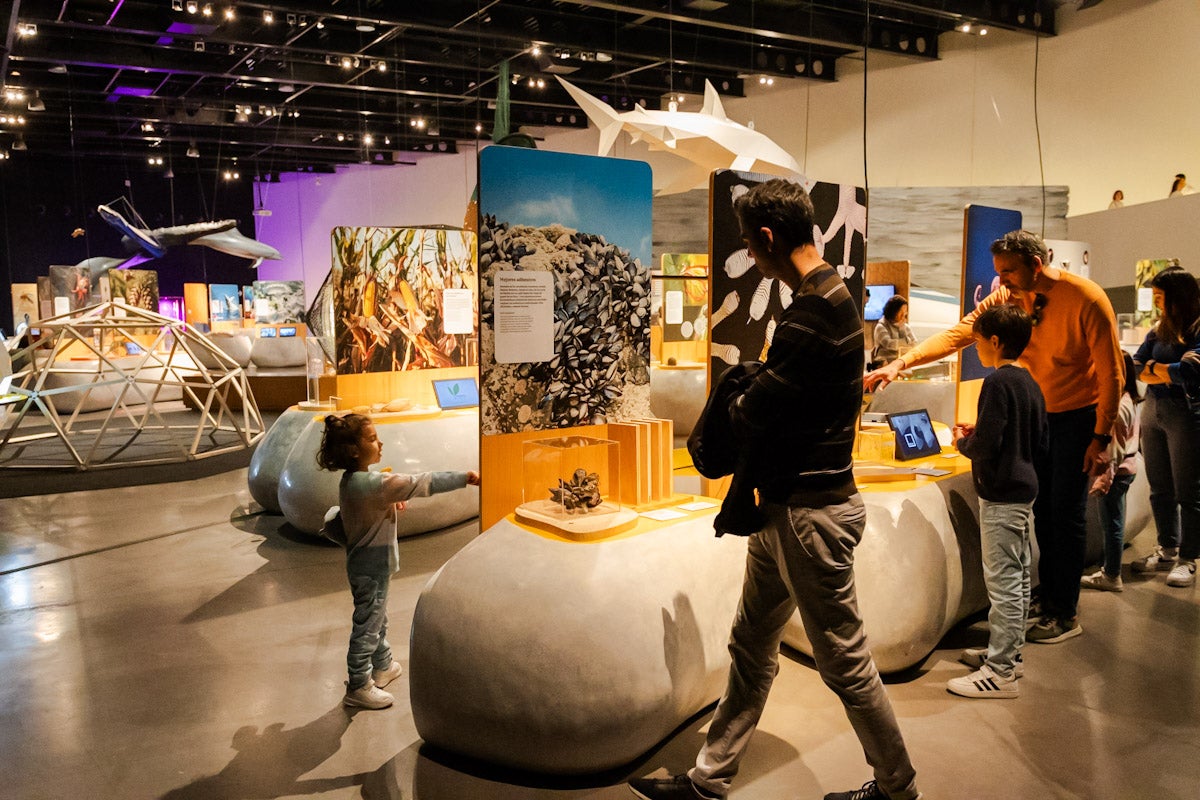 Las mejores imágenes de la exposición &#039;BioInspiración&#039; en el Parque de las Ciencias de Granada