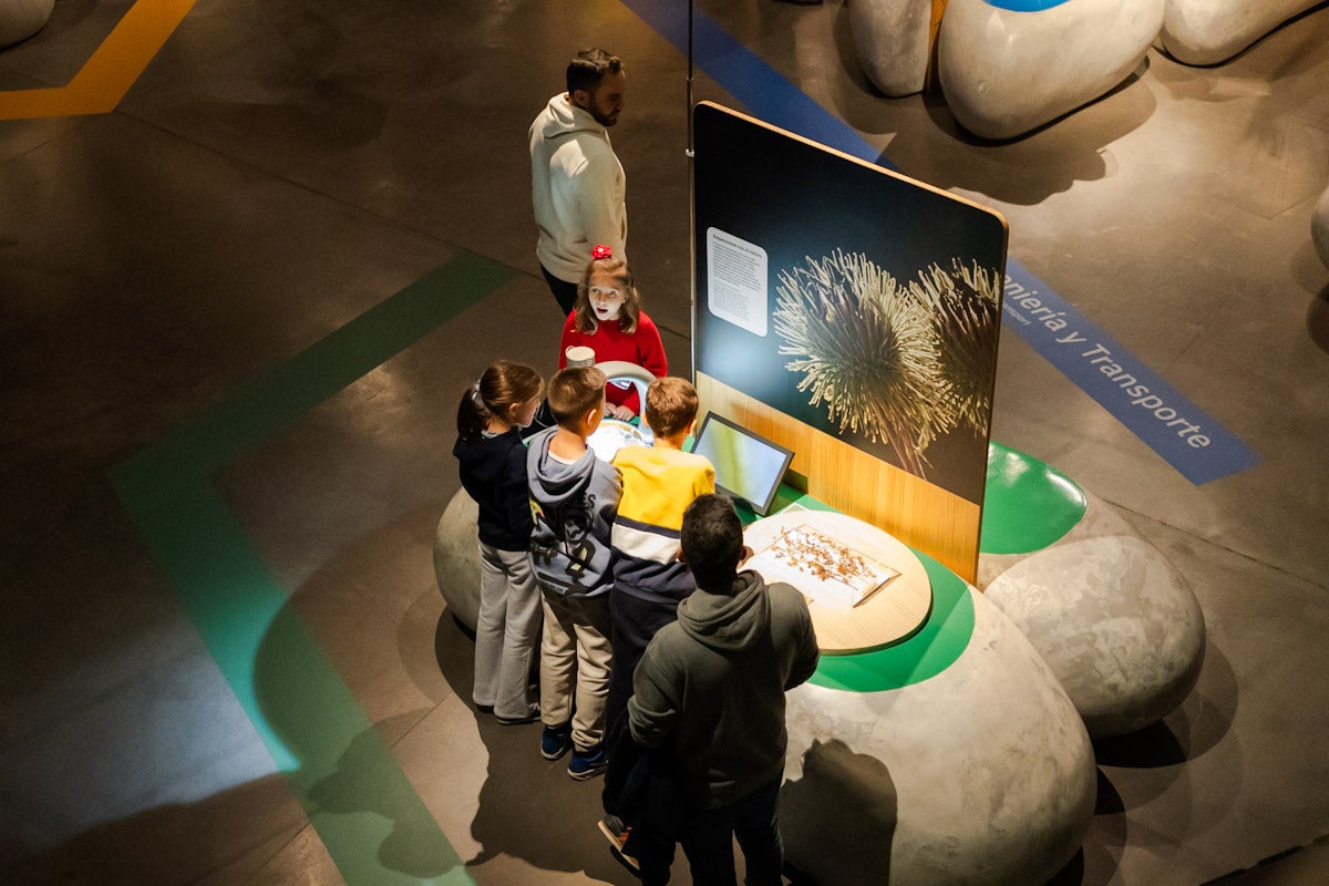 Las mejores imágenes de la exposición &#039;BioInspiración&#039; en el Parque de las Ciencias de Granada