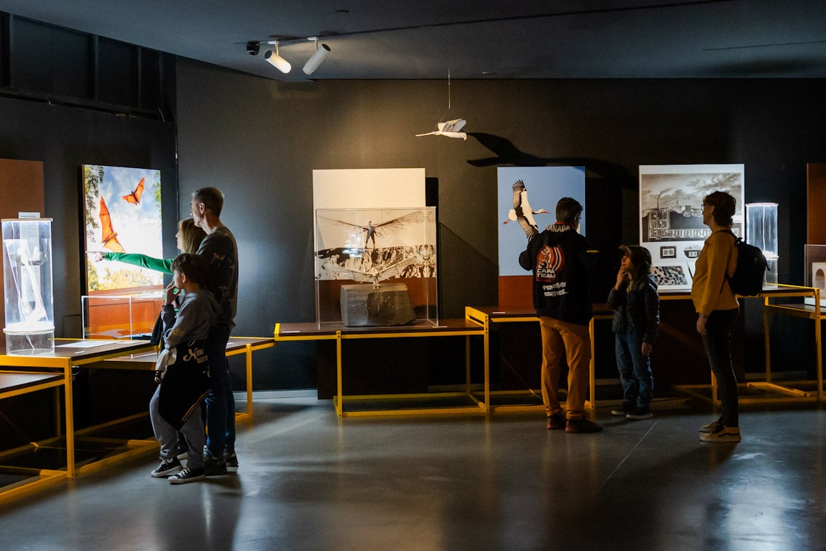 Las mejores imágenes de la exposición &#039;BioInspiración&#039; en el Parque de las Ciencias de Granada