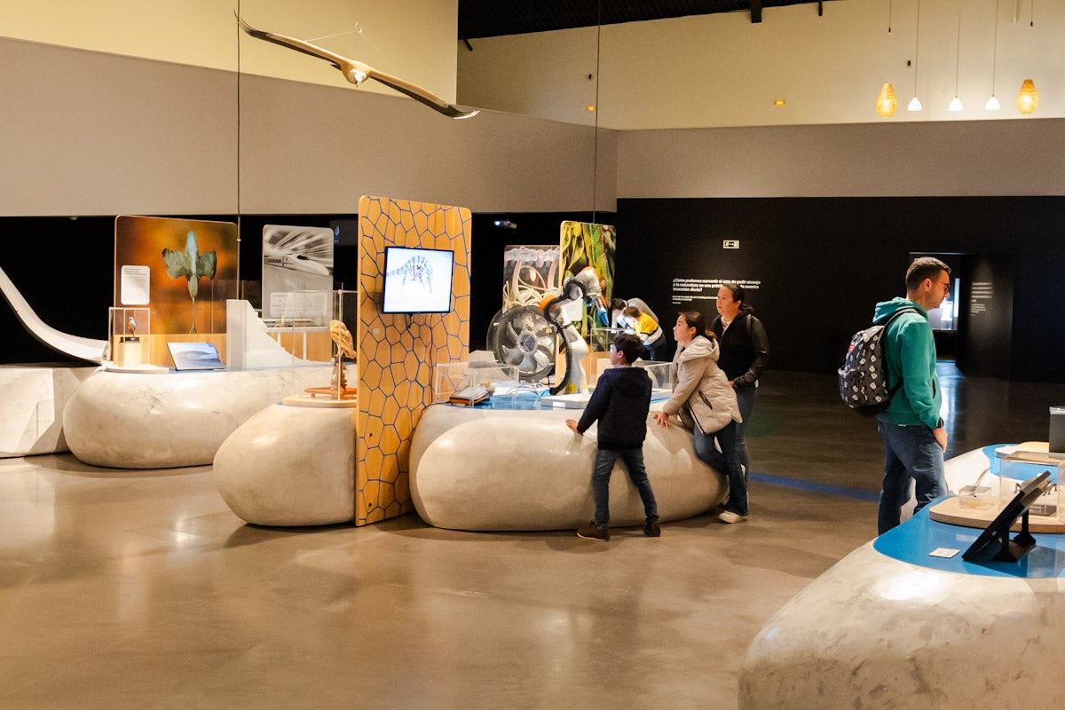 Las mejores imágenes de la exposición &#039;BioInspiración&#039; en el Parque de las Ciencias de Granada