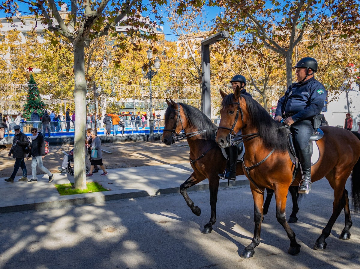 El turismo y la Navidad toman Granada por el puente de diciembre