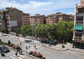 Vista parcial del Camino de Ronad, con Arabial al fondo.