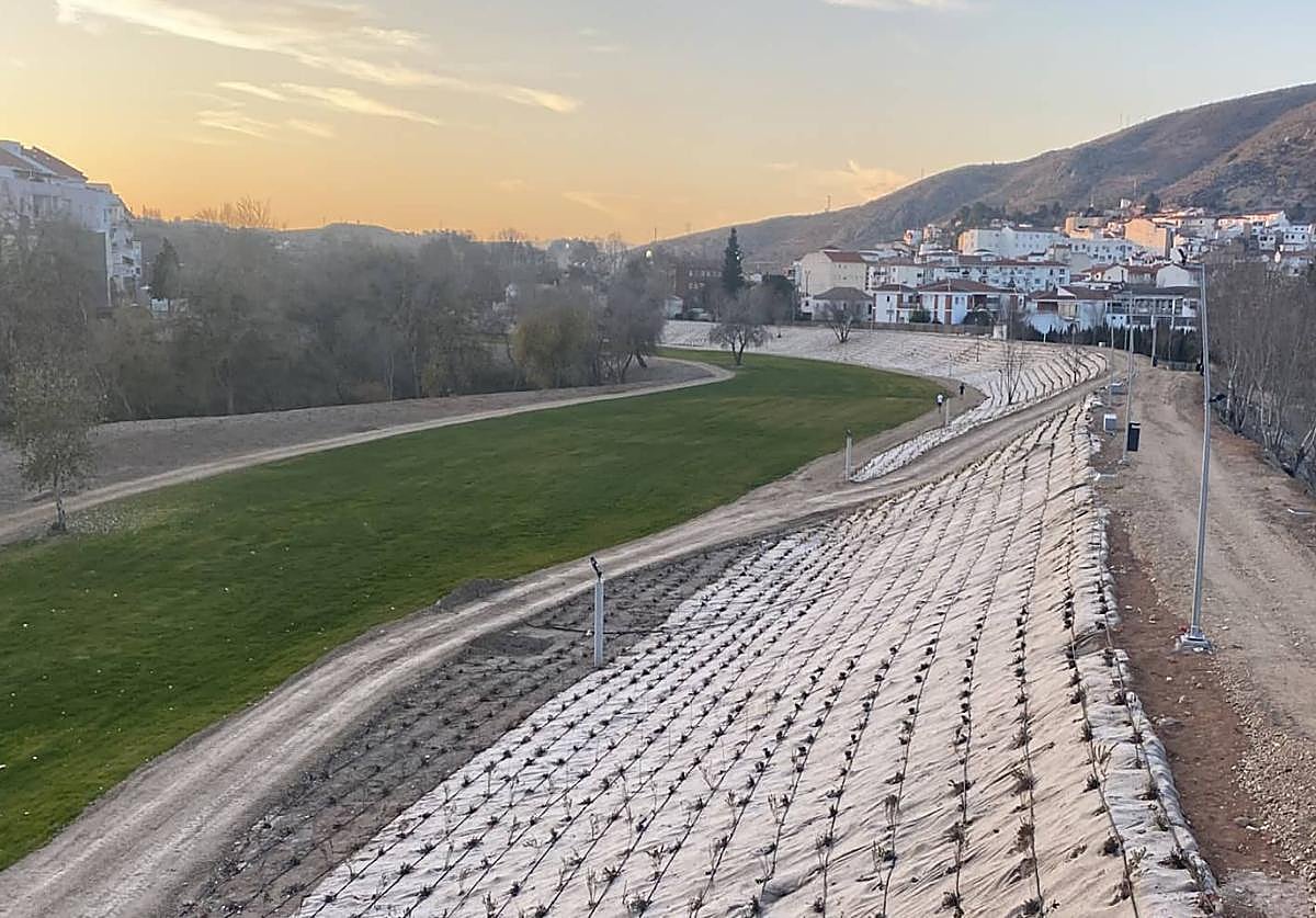 Paseo del Genil, el mayor proyecto de renaturalización.