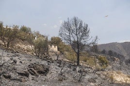 Incendio en Peña Escrita el pasado mes de agosto.