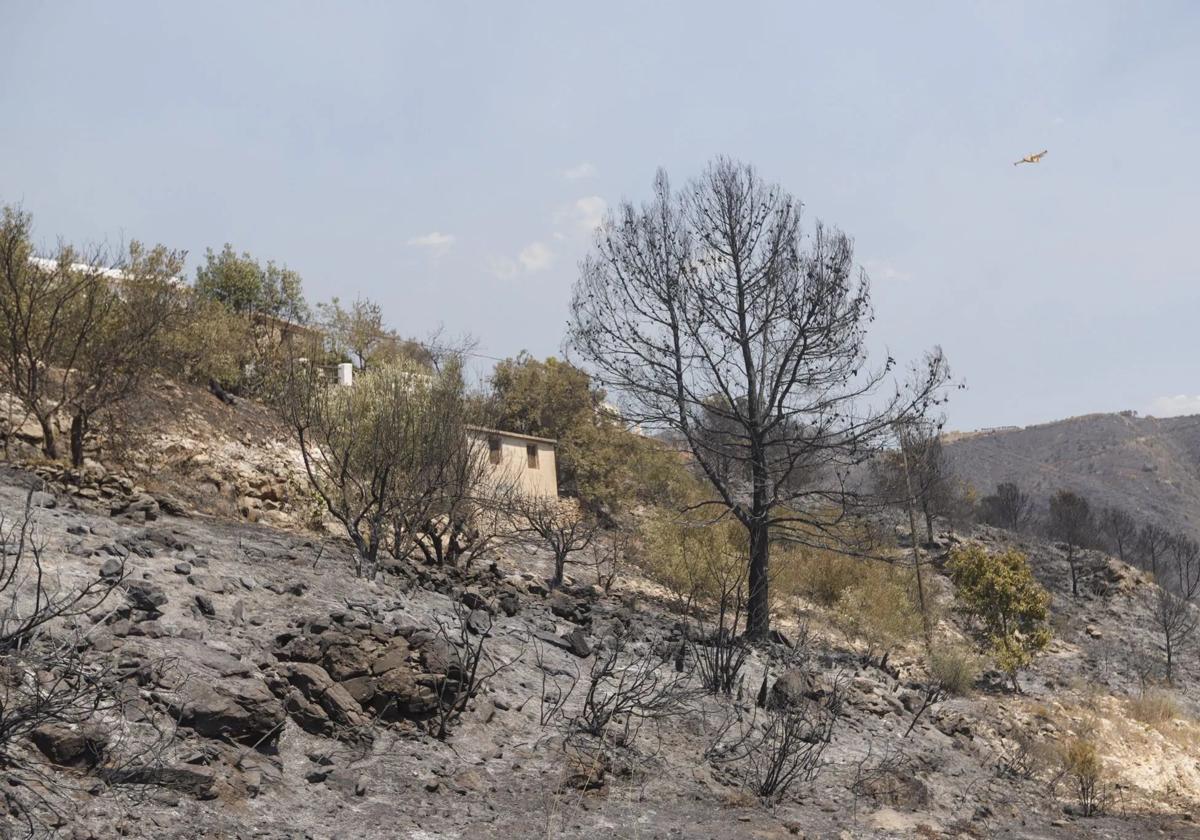 Incendio en Peña Escrita el pasado mes de agosto.