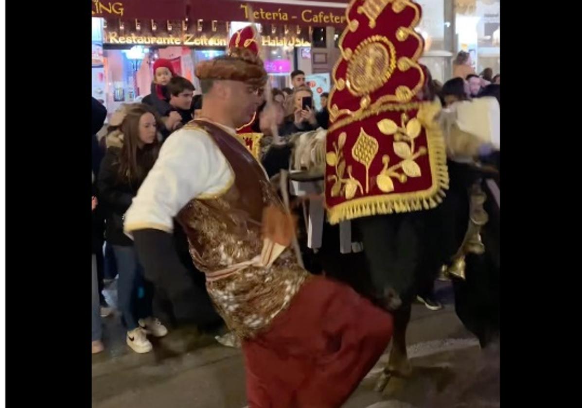 Momento en el que se produjo la patada al buey en la cabalgata del Heraldo Real.