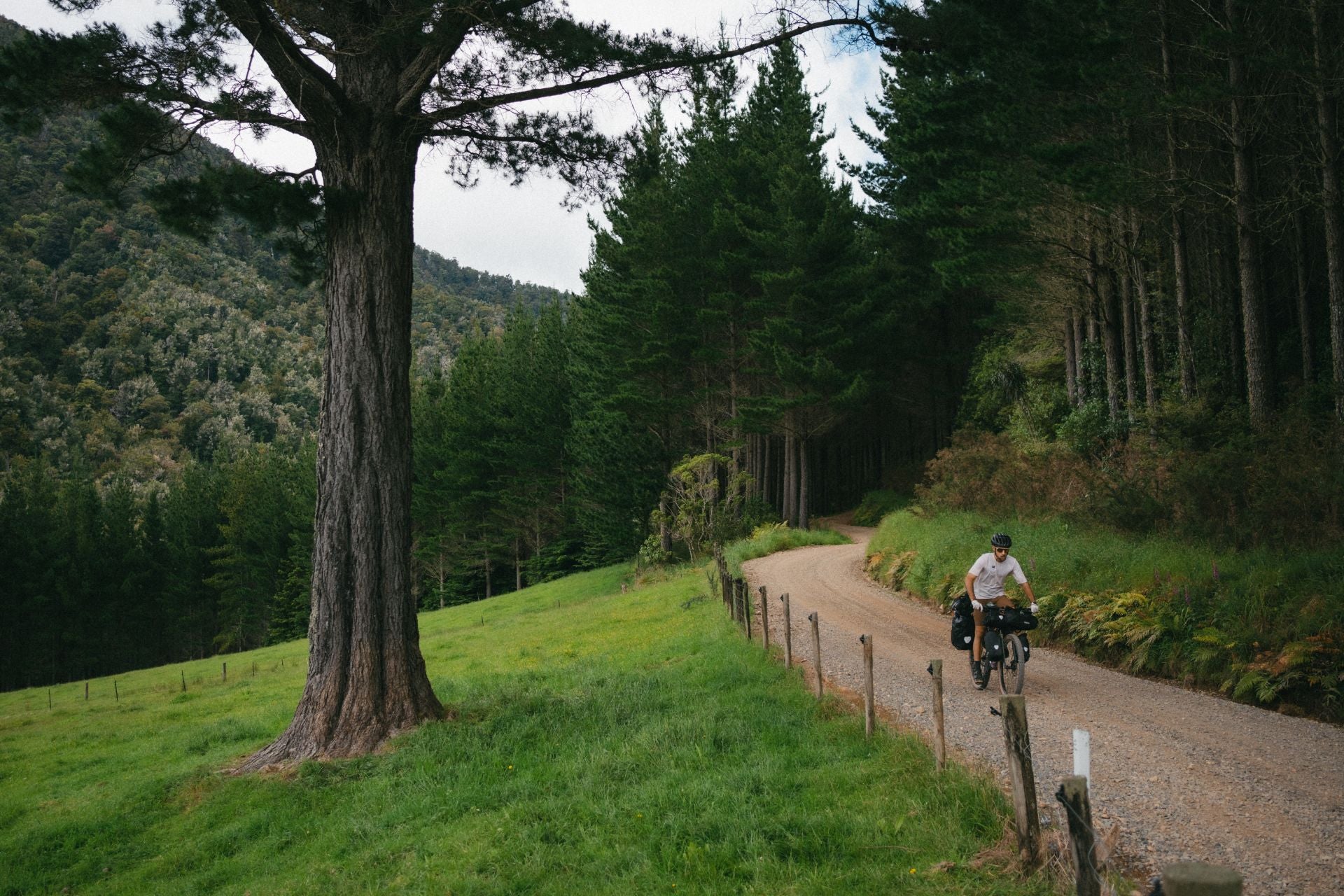 Las espectaculares imágenes del granadino que recorre Nueva Zelanda en bicicleta