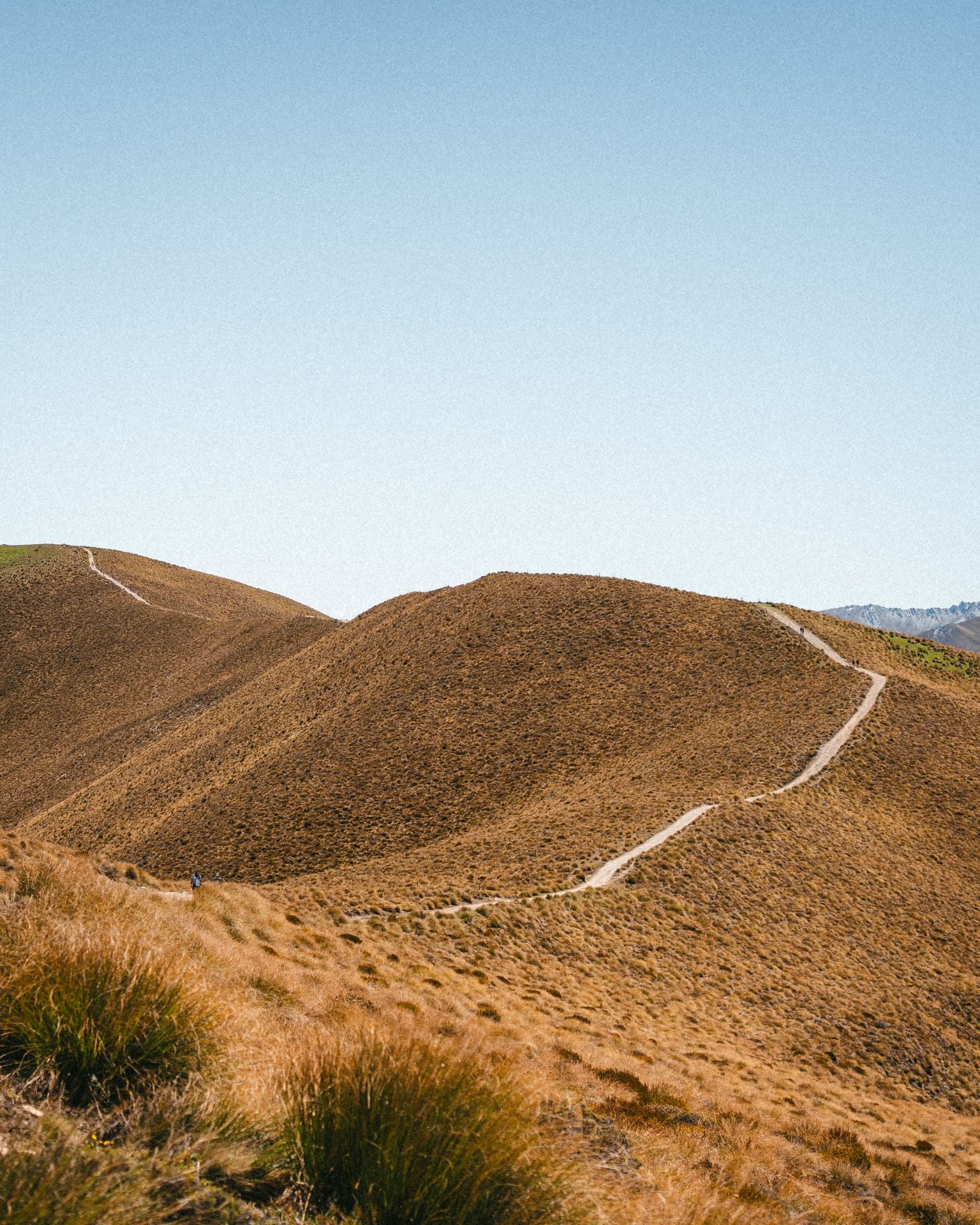 Las espectaculares imágenes del granadino que recorre Nueva Zelanda en bicicleta