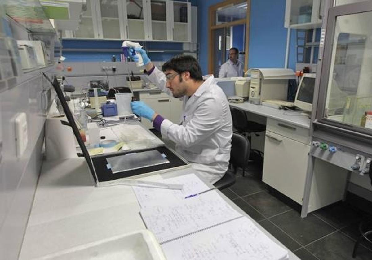 Investigadores trabajan en un laboratorio de la facultad de Ciencias de la UGR.