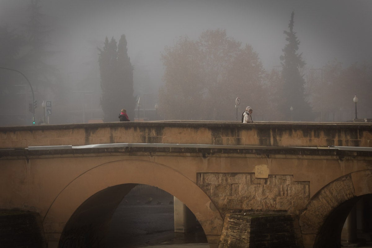 Las mejores fotografías de la niebla sobre Granada