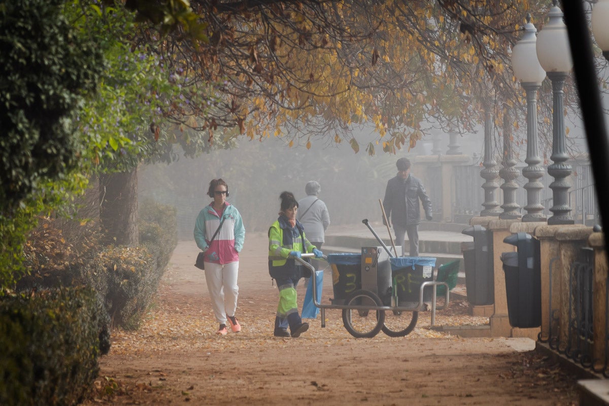 Las mejores fotografías de la niebla sobre Granada