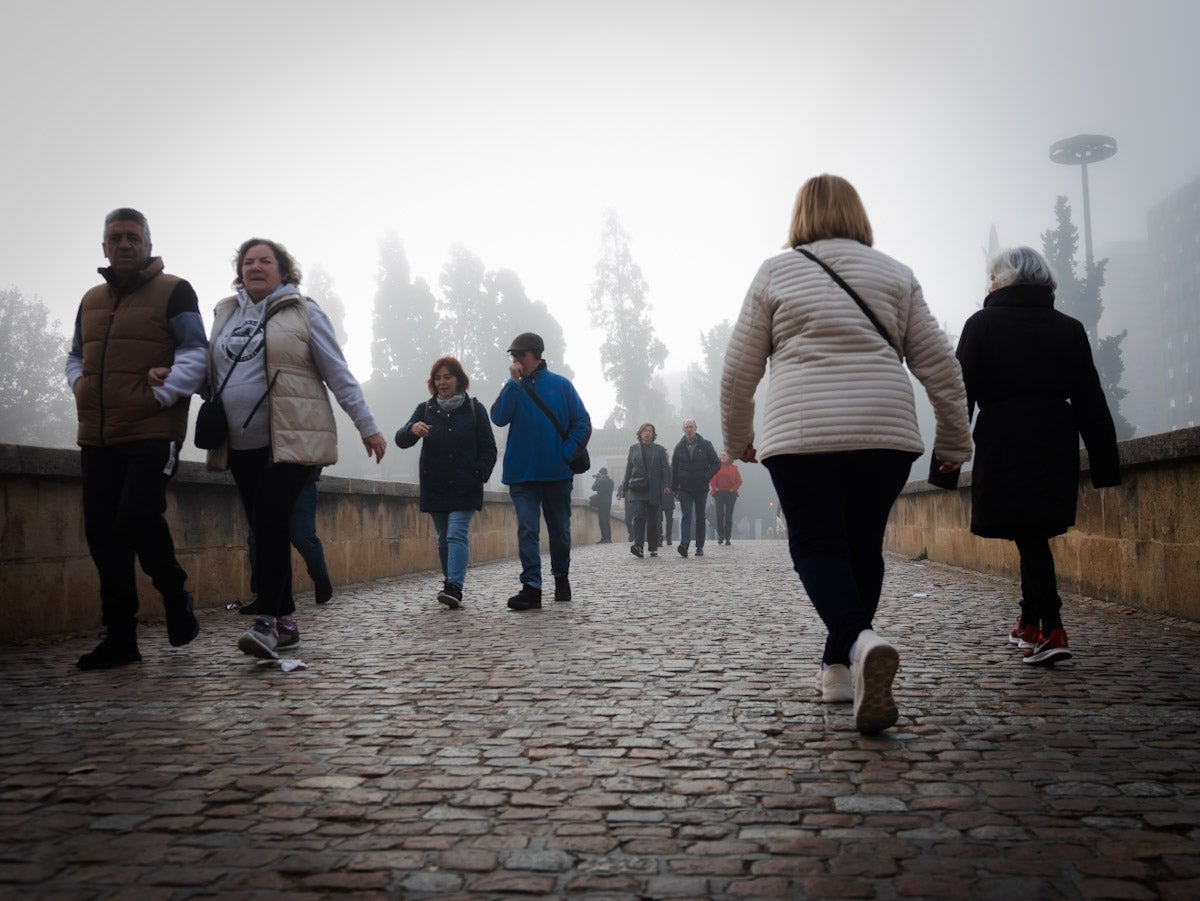 Las mejores fotografías de la niebla sobre Granada