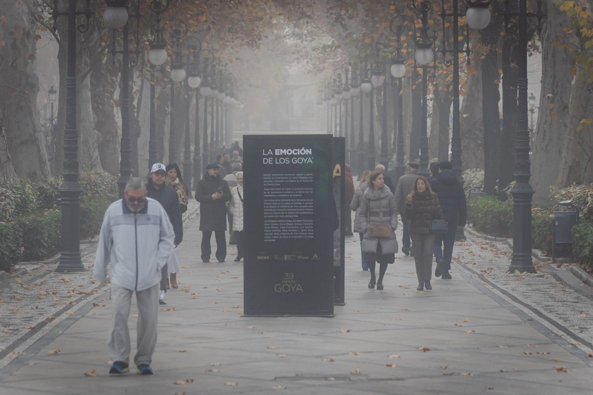 Las mejores fotografías de la niebla sobre Granada