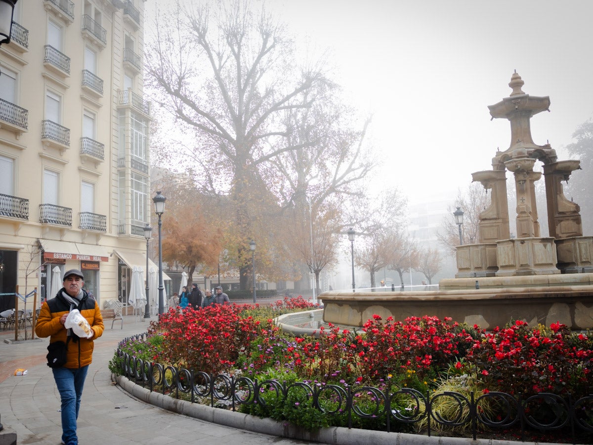 Las mejores fotografías de la niebla sobre Granada