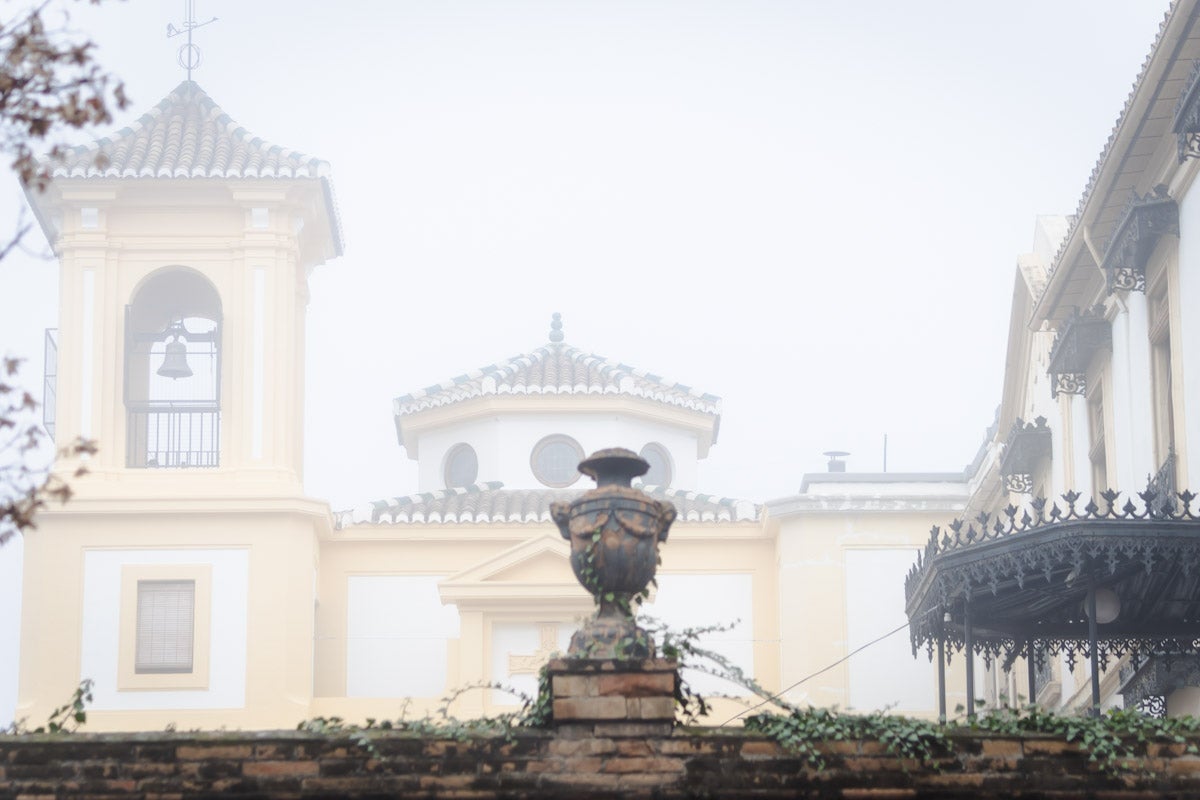 Las mejores fotografías de la niebla sobre Granada