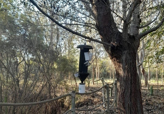 Trampa instalada en la Charca Suárez en Motril.