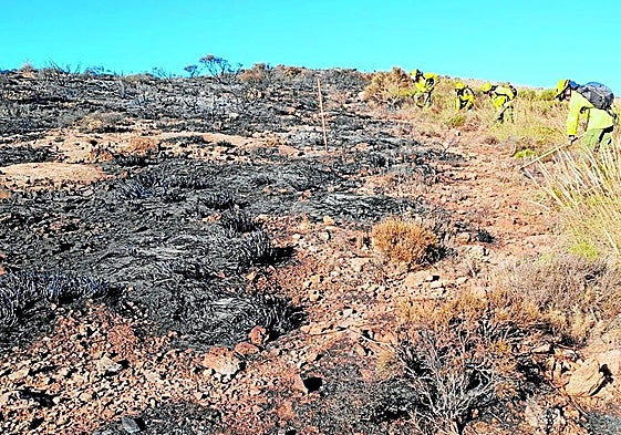 Efectivos del Plan Infoca trabajan en un incendio forestal en una imagen de archivo.