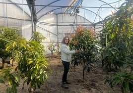 Eva en el invernadero mientras realiza labores de observación de la planta.