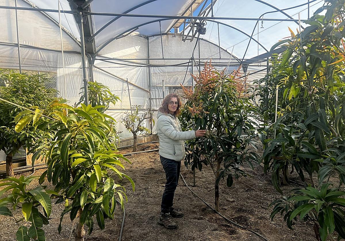 Eva en el invernadero mientras realiza labores de observación de la planta.