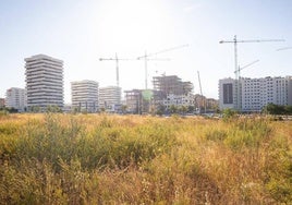 Construcción de viviendas en una de las zonas de desarrollo de Granada.