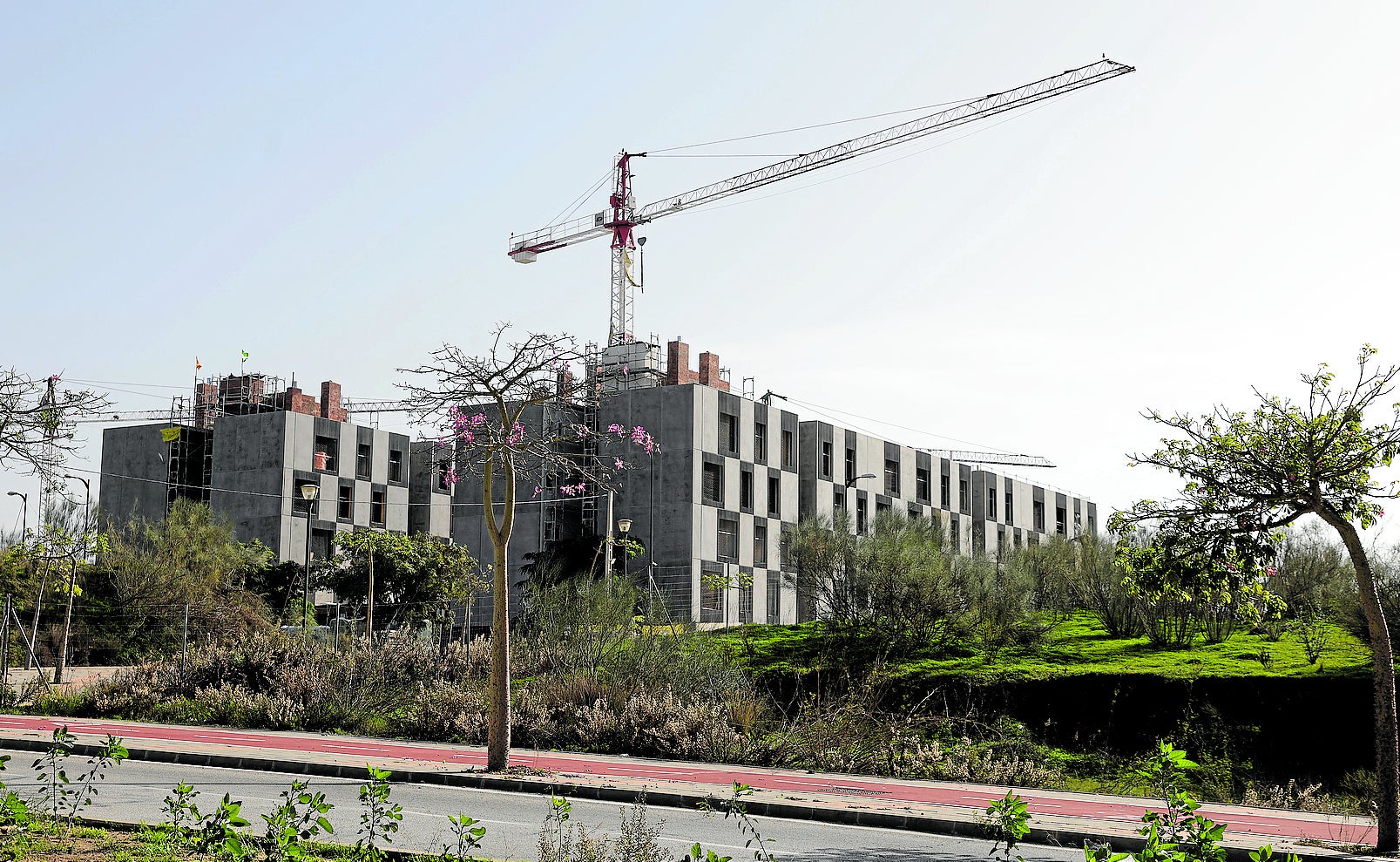 Viviendas en construcción en Andalucía.