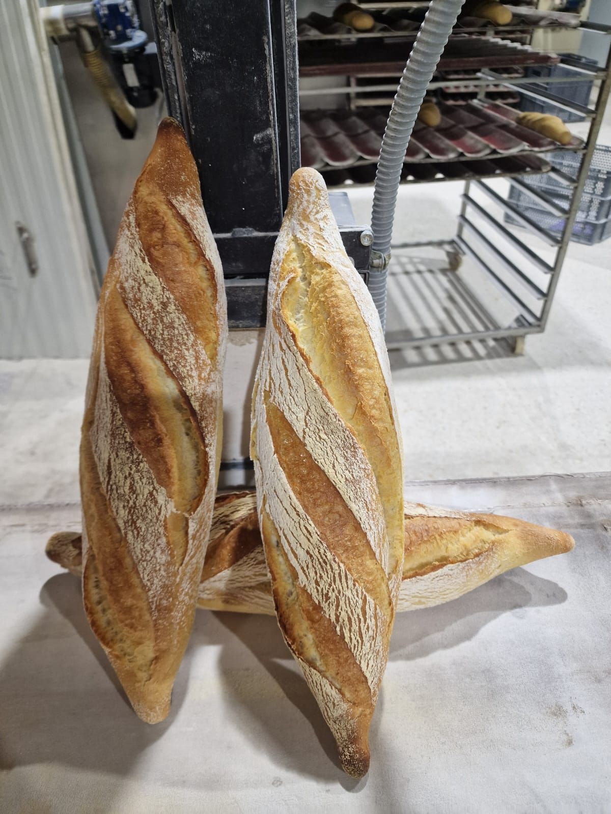 Imagen secundaria 2 - La fábrica y panes elaborados con su harina. 
