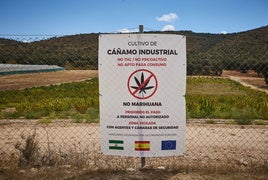 La finca de Escúzar en la que la Guardia Civil halló 54 toneladas de marihuana.